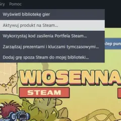 Jak wpisać klucz Steam i uniknąć najczęstszych błędów aktywacji